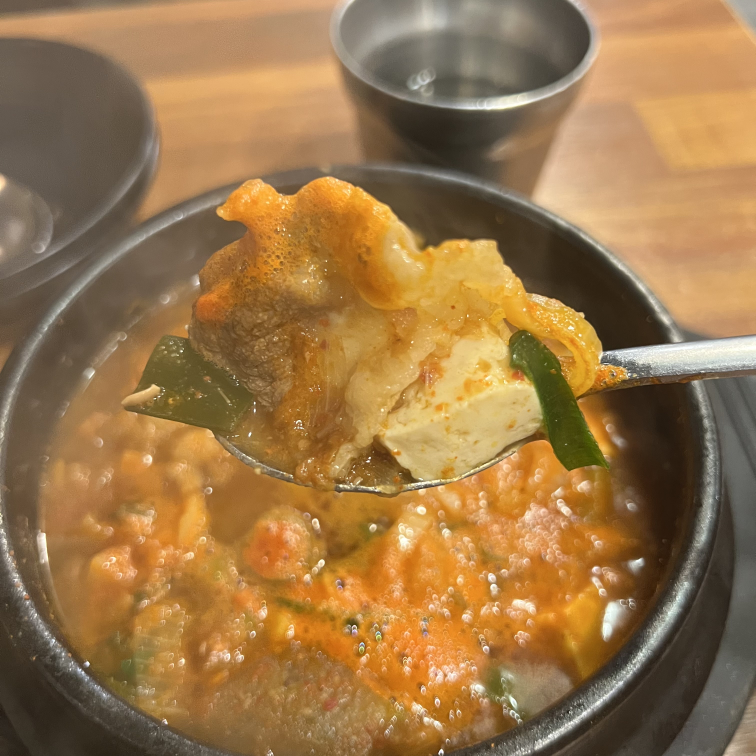 탐라도야지 사진 3