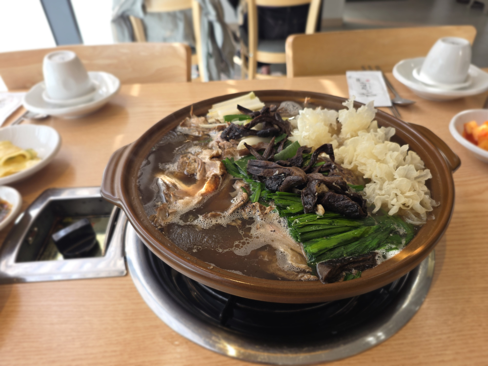 김여사 능이백숙 2