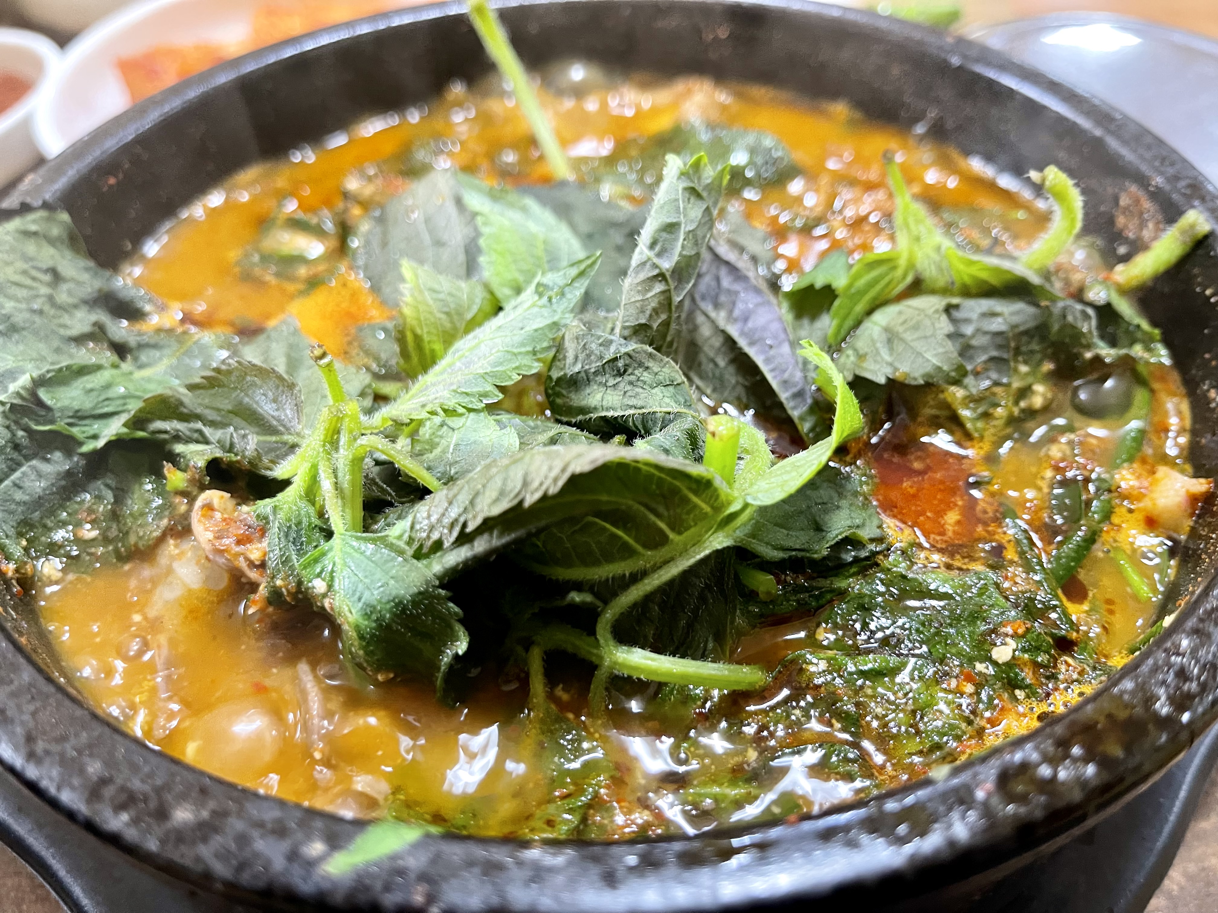 하늘먹은흑염소목장 2
