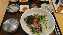 수참치 사진 3