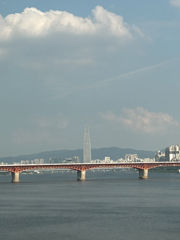 요거트아이스크림의정석 성신여대점