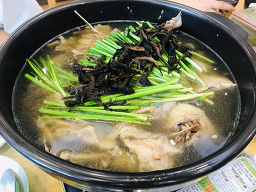 영양센타 4