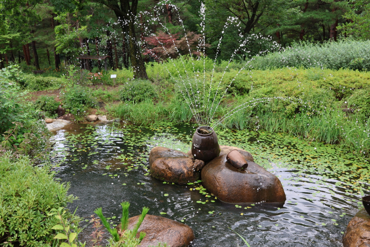 설악산자생식물원 2