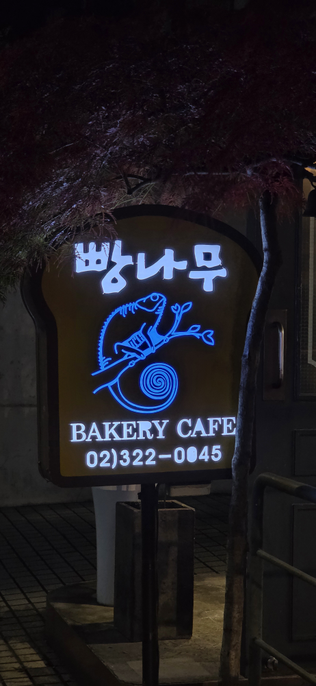 빵나무 대표 사진