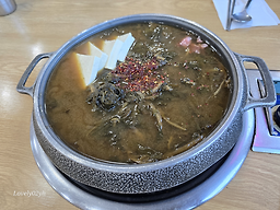Sariwon (사리원) 2