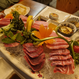 달빛참치 1