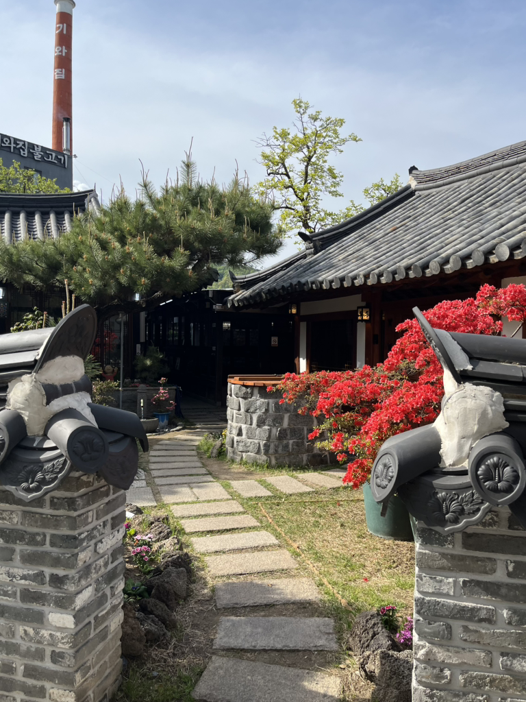 Giwajip 6