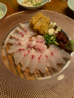 산호 사진 7