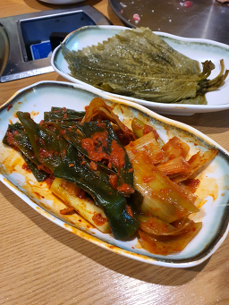 화순산호 사진 5
