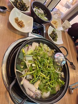 미성복어 4