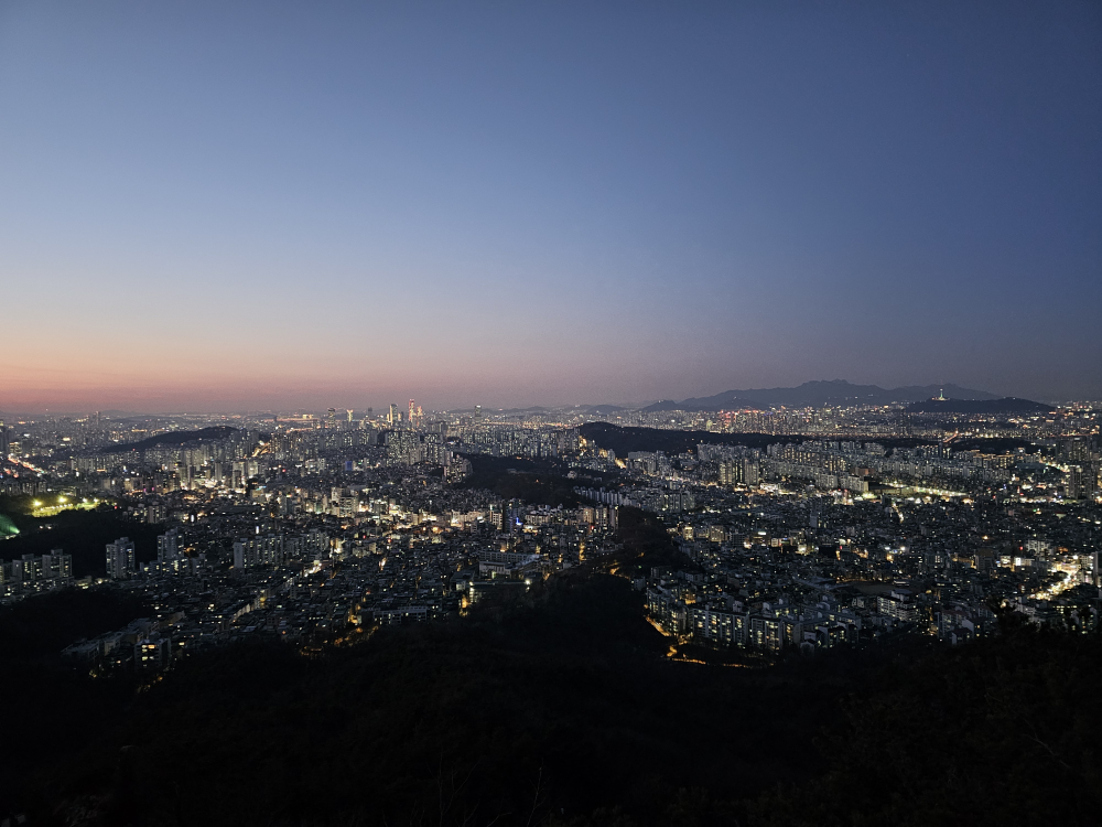 Obeuneppajindak seouldaeipgujeom (오븐에빠진닭 서울대입구점) 3