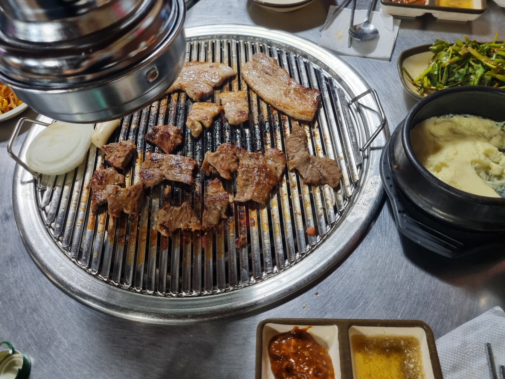 공원갈매기 1