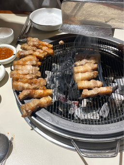 연남제비 사진 4