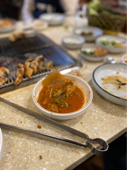 유동민물장어 5