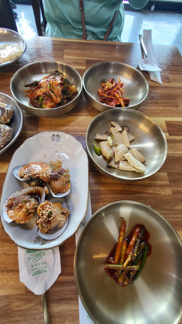 돌체 6