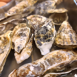 대굴대굴 삼화점 사진 7