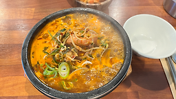 돌담넘는고양이 대표 사진