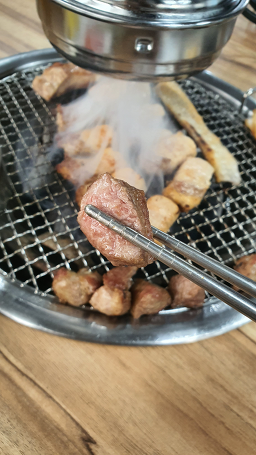 정직한돈 사진 8