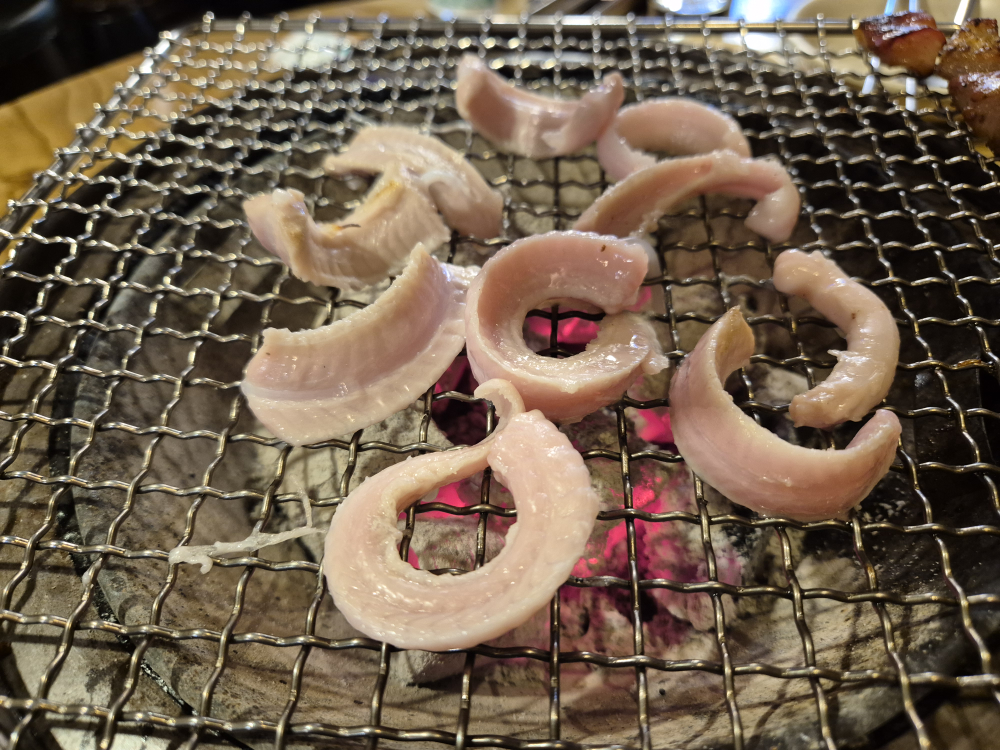 땡초꼼장어 4