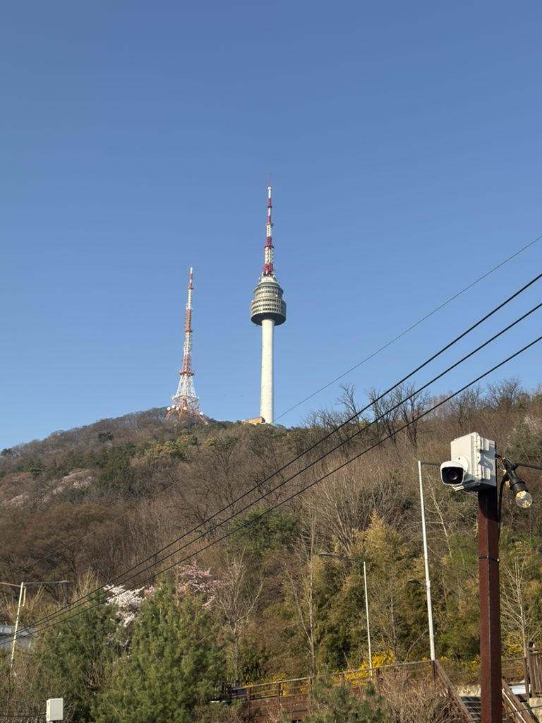 슈코스 서울 대표 사진