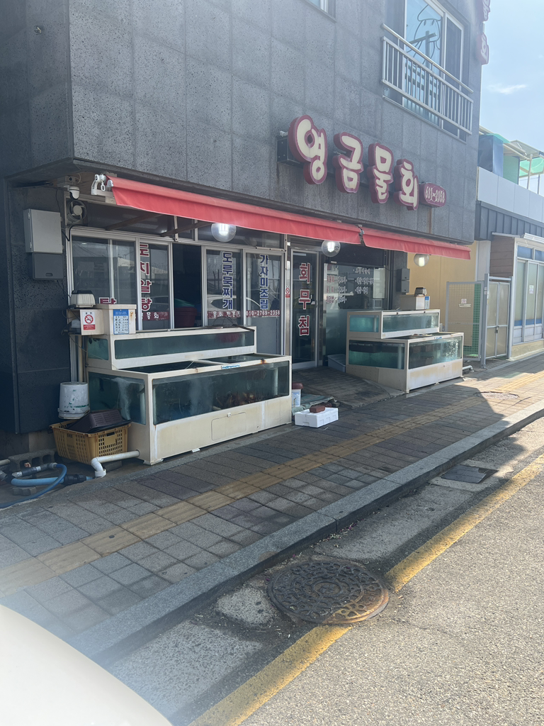 영금물회 3