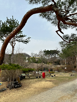 장독대 4