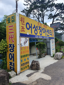 어성장어센타 4