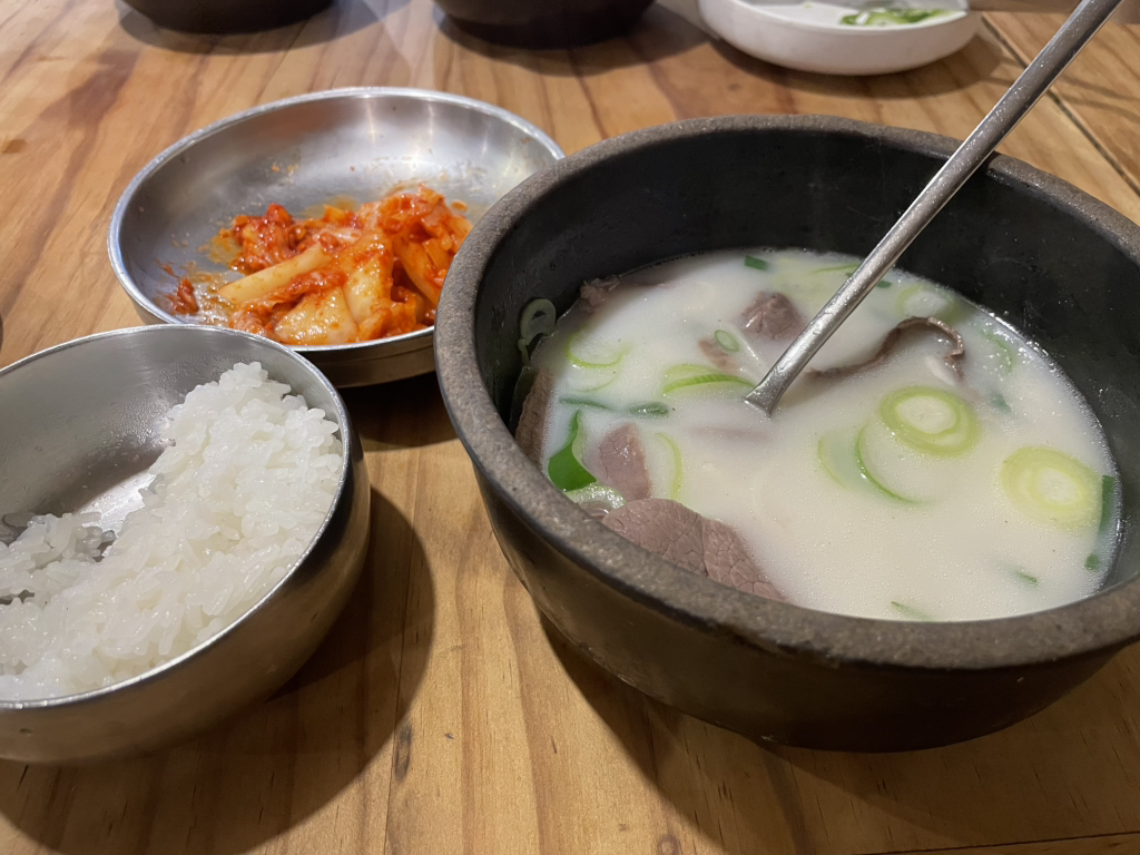 느티나무 6