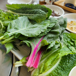 Ganggyeongbulgogi hoecheonjeom 6