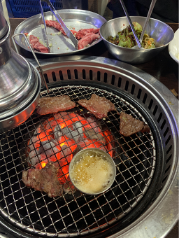 소나무 사진 3