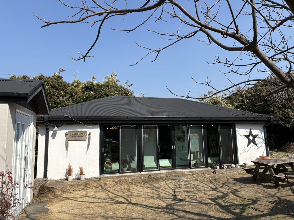 텍시아 대표 사진