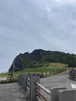 림벅와플 성산일출봉점