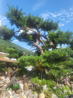 Saemgolgadeun (샘골가든) 2