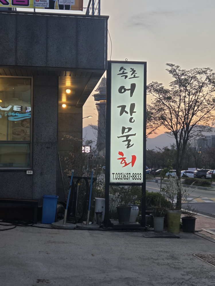 속초어장물회 2