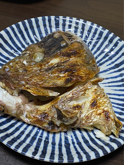 동해어가 사진 8