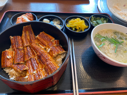 용장어 6