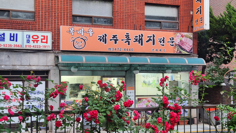 복바우 사진 2