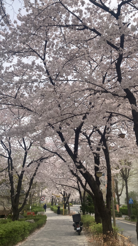 양밍산 6