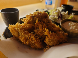 야스미 사진 4