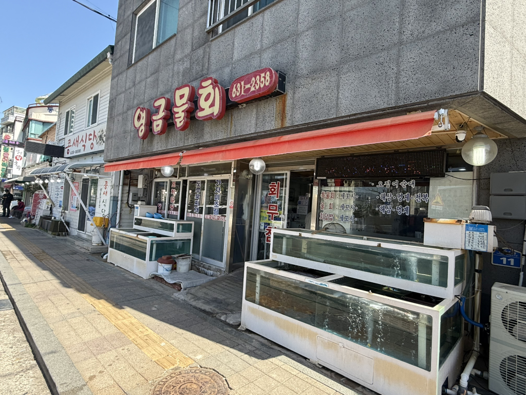 영금물회