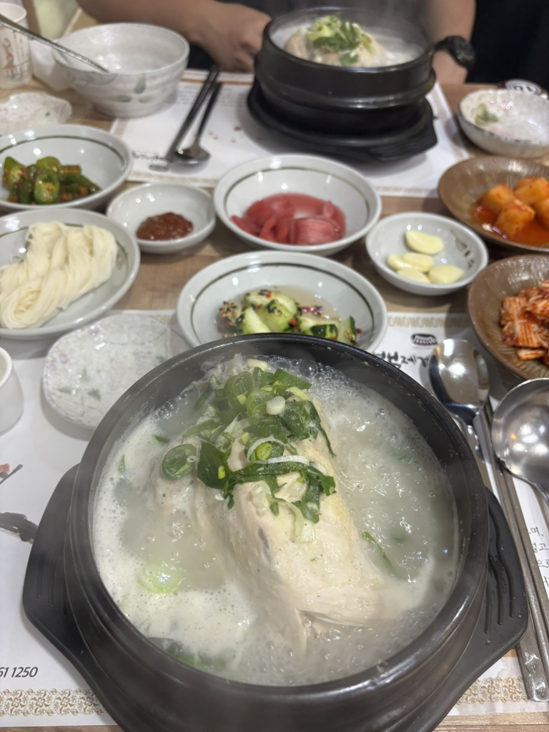 Baekjegyesamtang 6