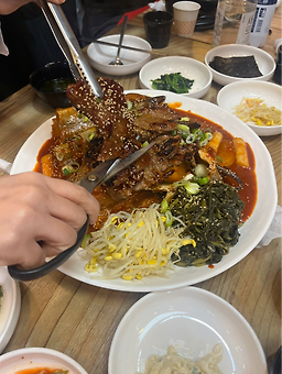금강코다리 1