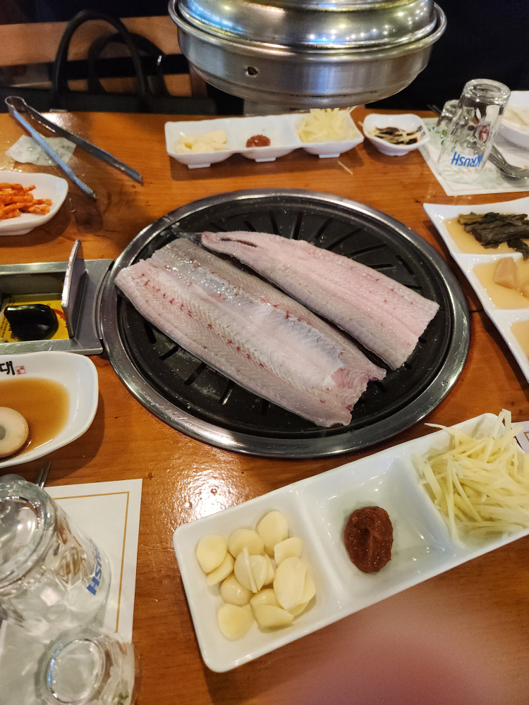 등대장어 2