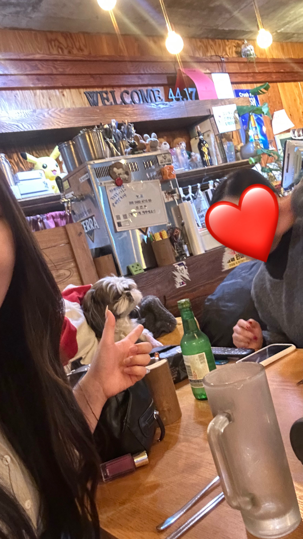 술노리아