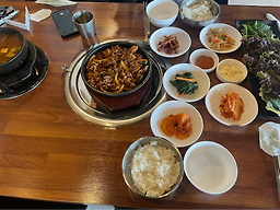 통통도야지 2