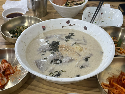 메밀애 사진 8