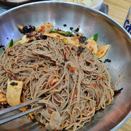메밀밭 사진 8