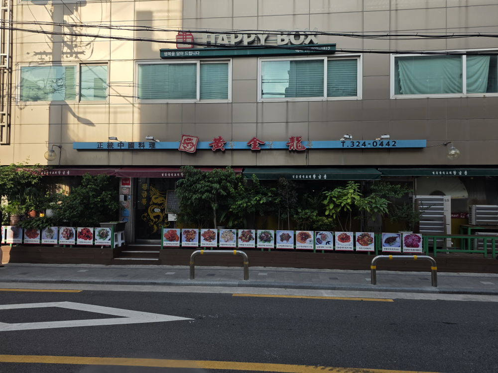 황금룡 사진