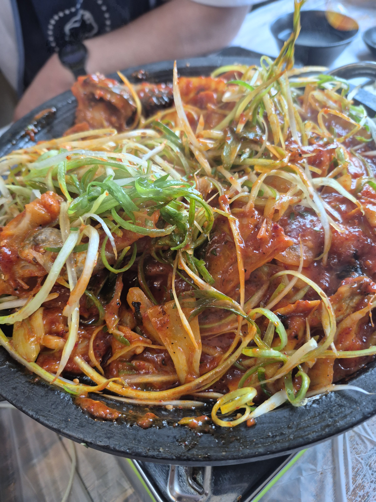 Dolsotdolpanagujjim (돌솥돌판아구찜) 1