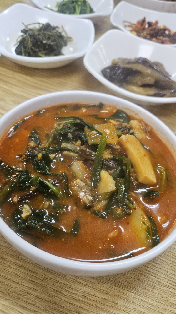 다솔강 3